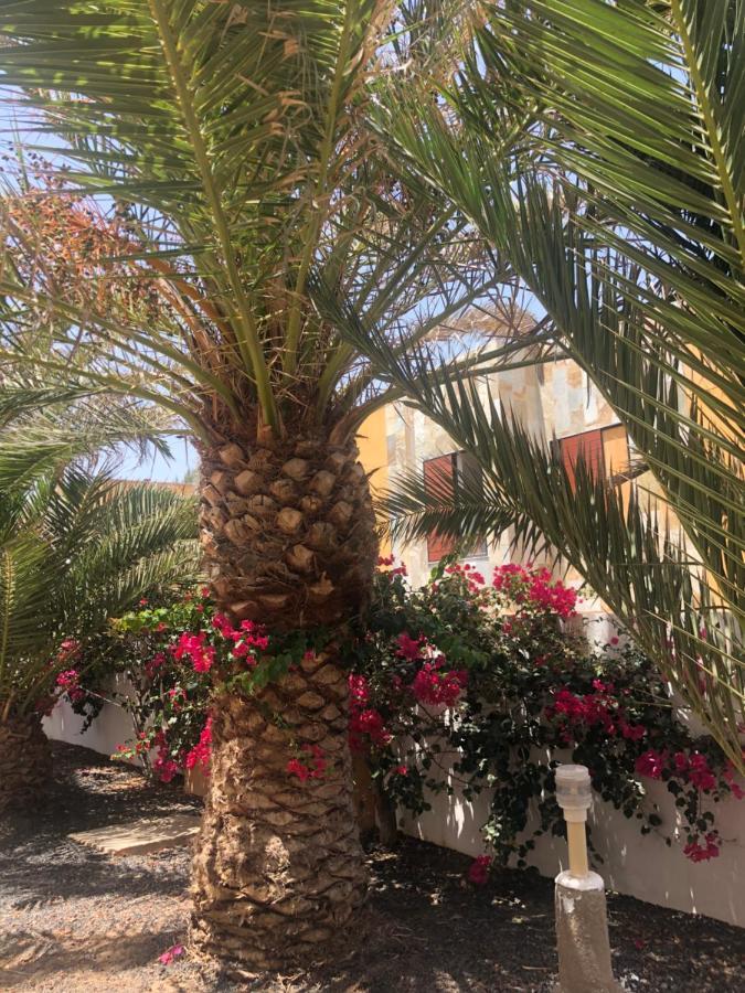 Apartamento Sunny Complex Amaya Fuerteventura 科斯塔德安提瓜 外观 照片
