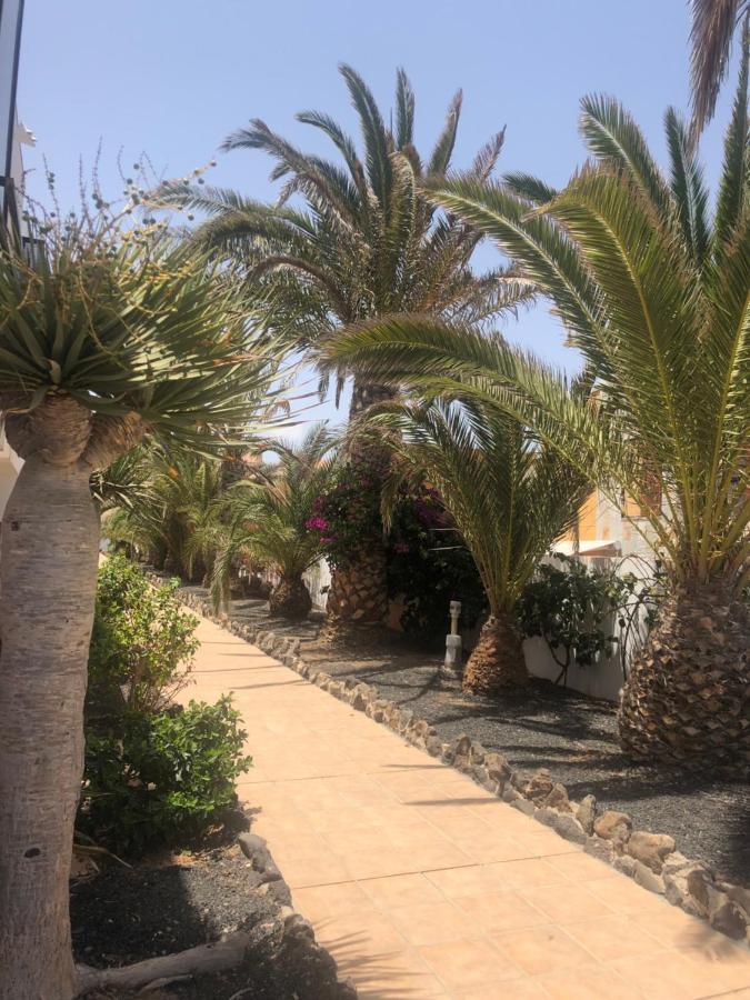 Apartamento Sunny Complex Amaya Fuerteventura 科斯塔德安提瓜 外观 照片